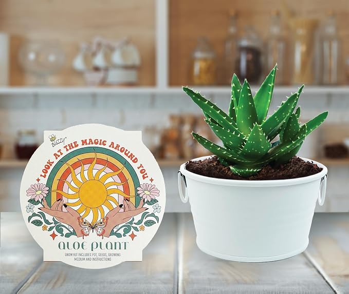 Buzzy Seeds Cactus, Moss Rose & Aloe Grow Kit 3-Pack - Ceramic Planter - Complete Indoor Gardening Kit with Seeds, Coconut Husk Growing Medium & Genuine Pots - 100% Grow Guarantee