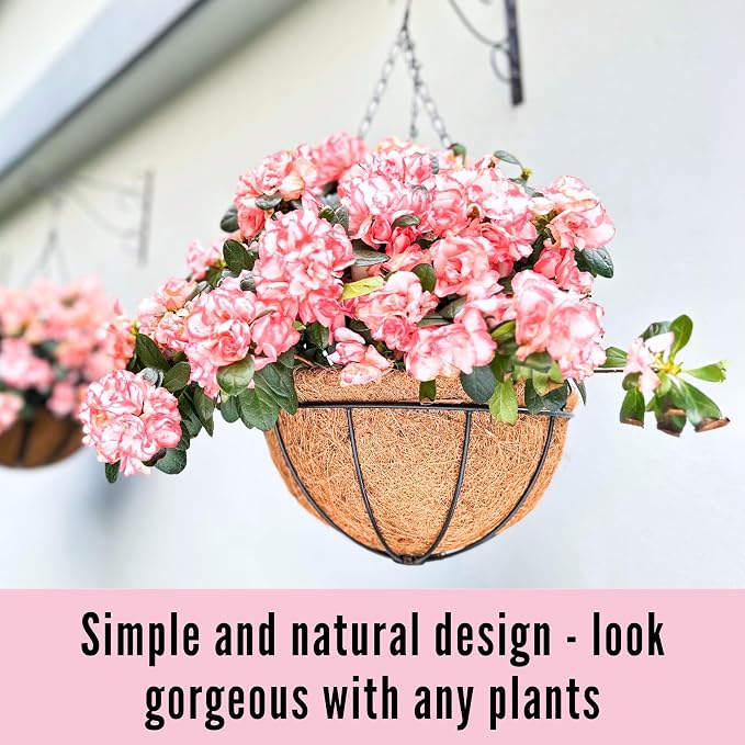 LaLaGreen Hanging Baskets for Outdoor Plants (10 Pack, 14 Inch) Large Hanging Planter with Coco Liner Round Flower Pots, Black Metal Wire Plant Holder Hook Deck Porch Garden Balcony Farmhouse Decor