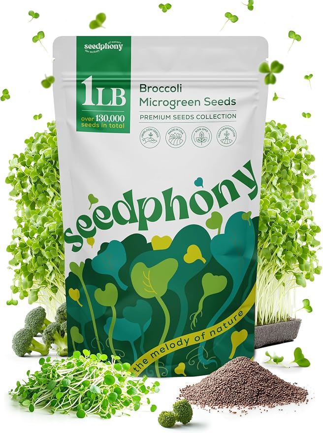 Seedphony Broccoli Sprouting & Microgreens Seeds - 130,000 Non-GMO Heirloom Seed, 1lb Resealable Bag - High-Germination Broccoli Seeds for Sprouting in Jars, Soil, Hydroponics & Microgreen Trays