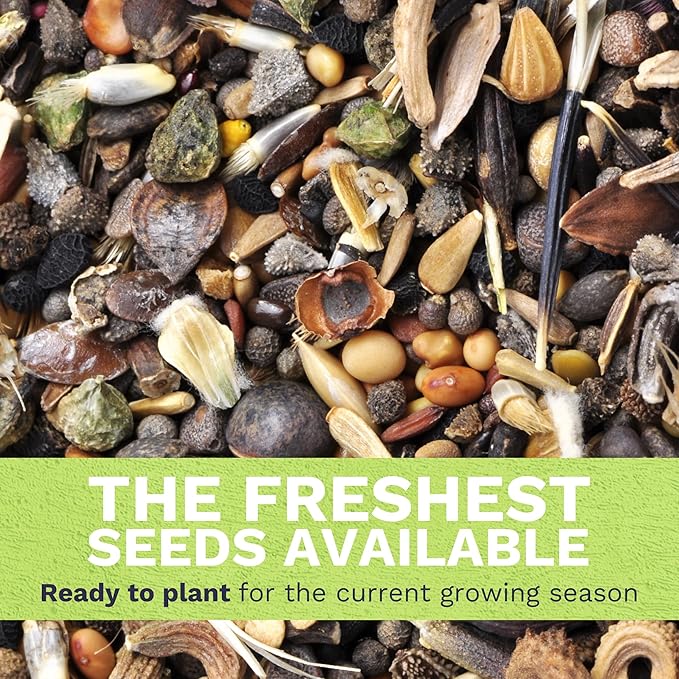 Pacific Northwest Regional Mix - Bulk 1/4 Pound Pouch - 96,000 Flower Seeds for Planting - Wildflower Mix