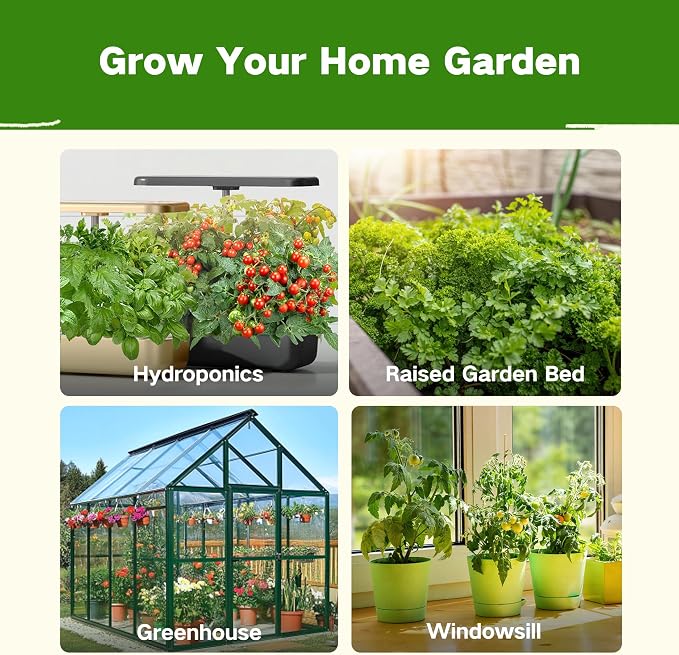 Lush&Dew Kitchen Garden Seed Bank, 32 Types Heirloom Seeds, Gardening Gifts | Non-GMO Seeds for Planting Vegetables Fruits Herbs, Gardener Gifts for Women Men, Survival Seed Kit for Food Supply Zone 3-11