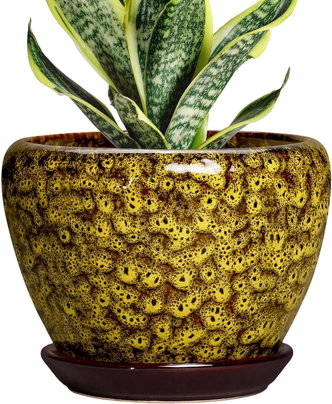 6 Inch Ceramic Plant Pot, Yellow Leopard | Drainage Hole and Tray, Indoor Outdoor, Decorative Round Planter, Small Flower Pot