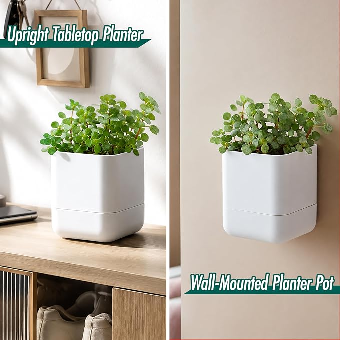 Phoenix Vine 4.5 Inch Wall Mounted Self-Watering Planter Pot for Indoor Houseplants and Herbs | Hanging Planter for Window Sills, Bathroom Walls, Home & Office Décor, White, Set of 2, 01-B-D-2