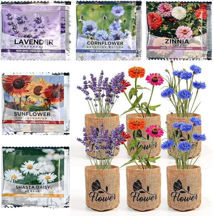 Indoor Daisy Garden Starter Kit with Gardening Tools - Planter Bags, Markers, Soil Disks and Shears, Home Gardening Gifts for Women Men Plant Lovers