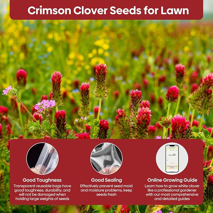 Groundio Annual Crimson Clover Seeds, 2 lbs, Trifolium Incarnatum Seeds for Lawn, Attracts Pollinators, Nitrocoated and Inoculated Seeds for Garden(Trifolium Repens)