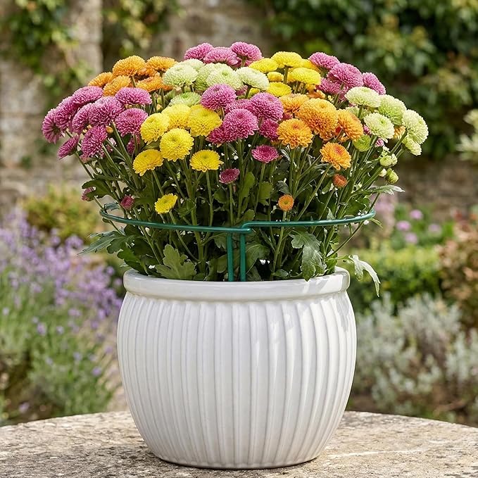 Thealyn 10 Pack Plant Support Stakes, 10" W x 16" H Metal Peony Cages and Supports, Rustproof Half Round Garden Plant Stakes for Indoor Outdoor Plants, Hydrangea, Rose, Tomato, Monstera