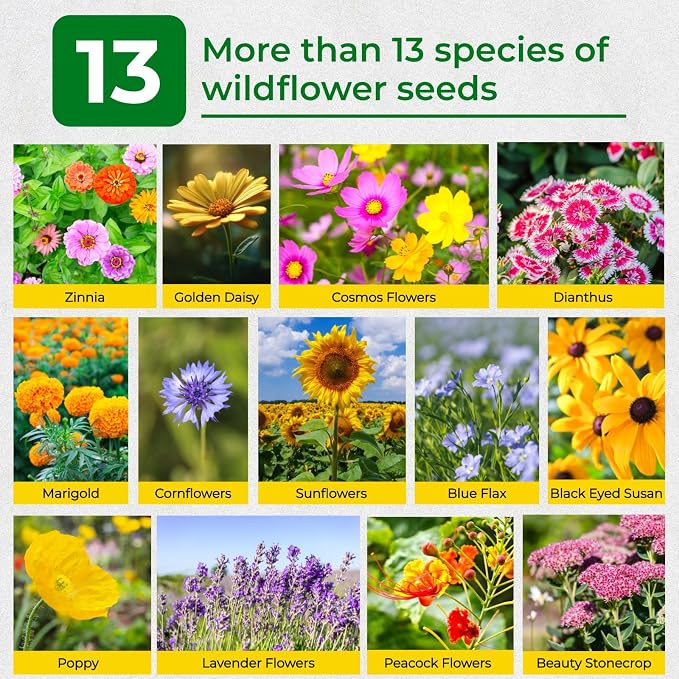 160,000+ Wildflower Seeds Bulk for Planting(4oz) – 13 Varieties Perennial & Annual Mix, Attract Bees, Butterflies & Hummingbirds, High Germination for Pollinator Garden, Gift for Woman