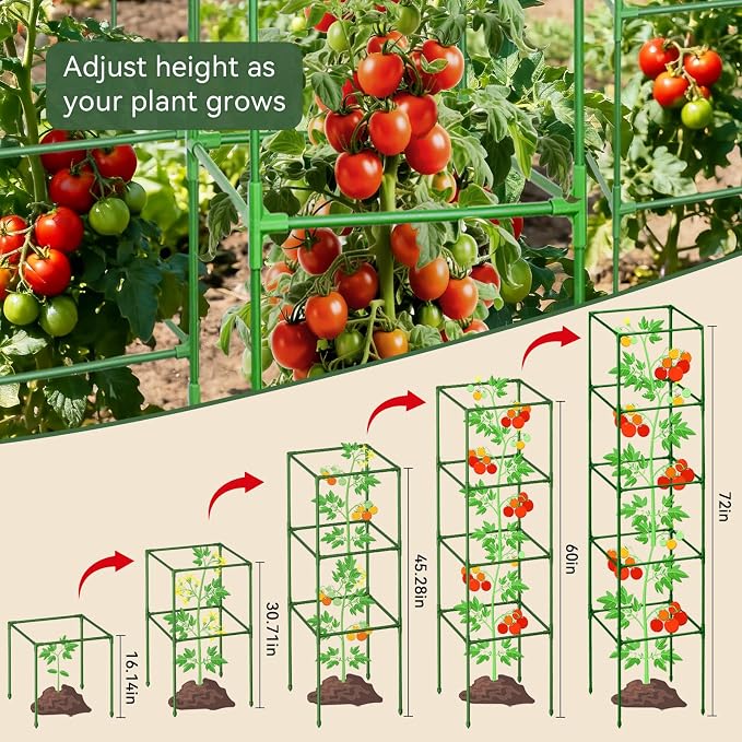 Halatool 2 Pack 72" Tall Square Tomato Cages - Heavy Duty Metal Plant Cage for Indeterminate Tomatoes, Reusable Trellis for Garden Vegetables, Up to 6ft Supports for Peppers, Cucumbers, Raised Beds
