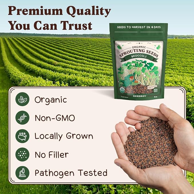 Seedboy Organic Non-GMO Broccoli Seeds for Sprouting - USA Grown Microgreens Sprouting Seeds - 8 oz Bag Makes 8 Quarts / 32 Servings (Broccoli)