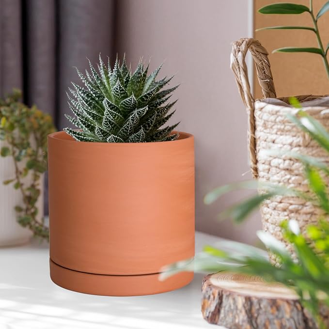 D'vine Dev X-Small 4 Inch Terracotta Plant Pots with Drainage Hole and Saucer, Round Cylinder Planter Pot for Indoor Plants, Set of 2, 40-X-B-1