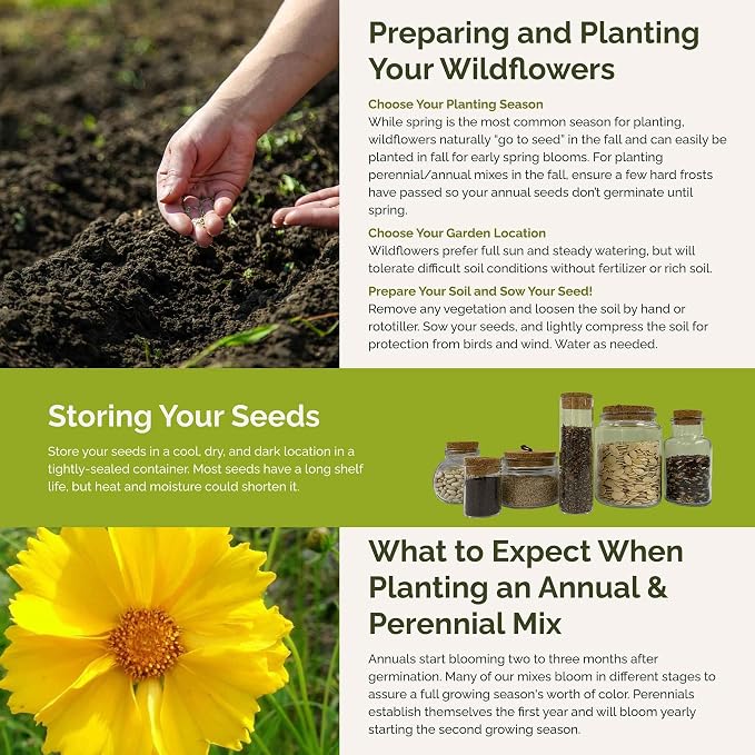 Eden Brothers South Carolina Wildflower Mixed Seeds for Planting, 1/4 lb, 120,000+ Seeds with WallFlower, Primrose | Attracts Pollinators, Plant in Spring or Fall, Zones