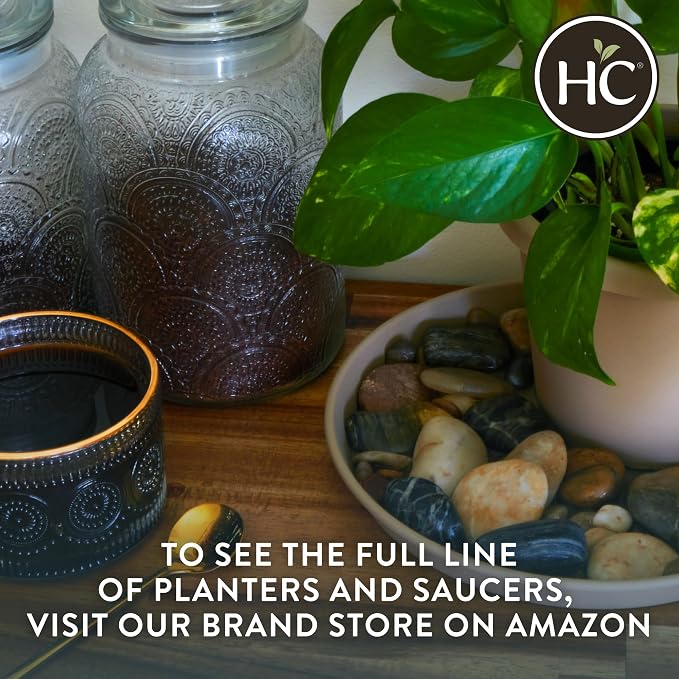 The HC Companies 14" Round Prima Plastic Plant Saucer - Indoor Outdoor Plant Trays for Pots - 14.17"x14.17"x1.69" in Clay