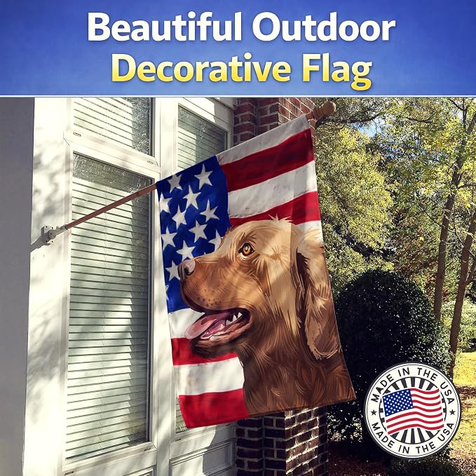 Caroline's Treasures CK6486CHF Chesapeake Bay Retriever American Flag House Flag Large Porch Sleeve Pole Decorative Outside Yard Banner Artwork Wall Hanging, Polyester, House Size, Multicolor