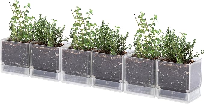 D'vine Dev 4 Inch Herb Planter Pots, Acrylic Planter with Drainage Holes and Saucer, Modern Decorative Gardening Pot for Indoor Plants, Herbs, Succulents, Clear, Set of 6, 76-Y-D-6