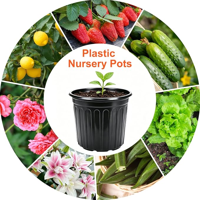 HECTOLIFE 50-Pack 3 Gallon Flexible Flower Plant Nursery Pots, Thickened Soft Plastic Seed Starting Container for Succulents, Seedlings, Cuttings, Transplanting,(Black)
