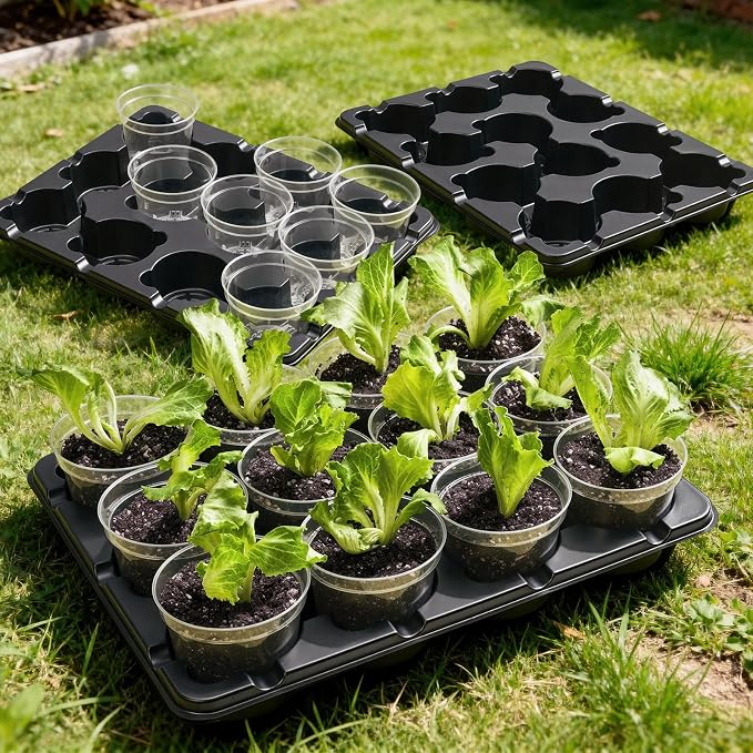 homenote 4 Inch Seed Starter Trays 2 Pack with Humidity Dome | 12-Cell Seedling Starter Trays, Plant Starter Germination Trays, For Pot Seedlings Indoor Outdoor