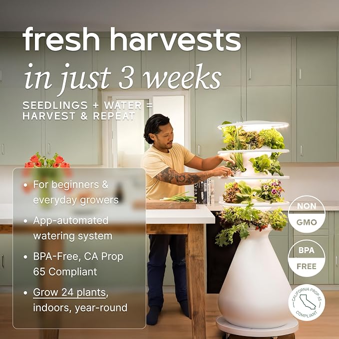 Lettuce Grow Farmstand Medium Starter Kit with Glow Rings + 24 Seedling Credits | 4 ft 10 in Vertical Hydroponic Garden Tower | Self-Watering Indoor Growing System for Herbs & Greens