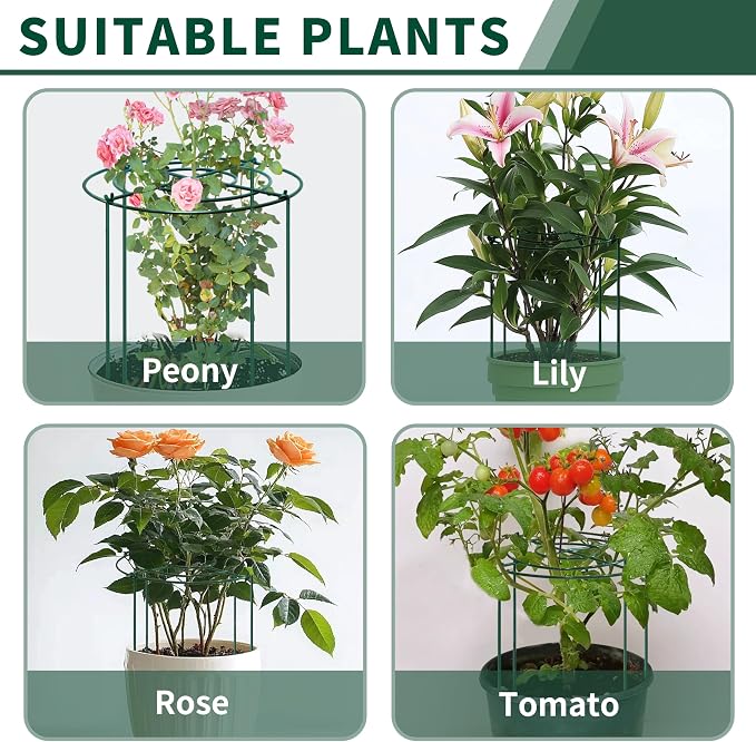 4pack Peony Cages and Supports, 24 x 32 Inch Four Legs Peony Cage, Heavy-Duty Peonies Support Cages, Peony Ring for Roses, Hydrangeas, Sage, Peonies, Cucumbers, Tomato