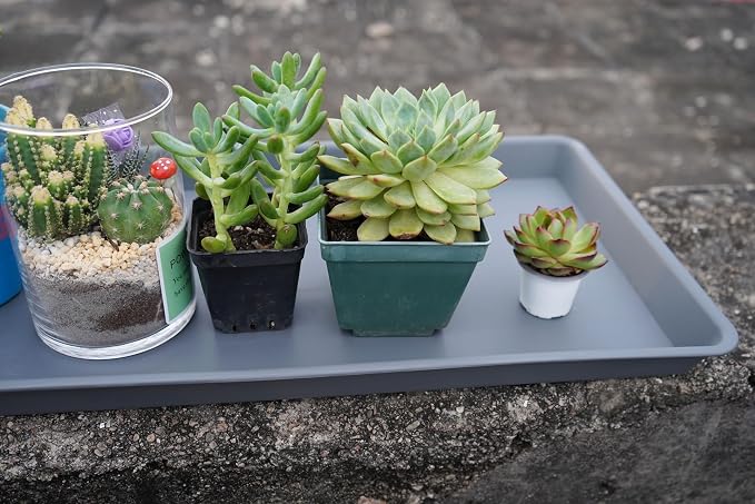 VUWEZ Rectangle Plant Tray, Plant Drip Tray, Plant Pot Saucers, Plant Germination Trays, Plant Saucers, 14.5'' x 11'' x 1.5'' (4 pack), Gray