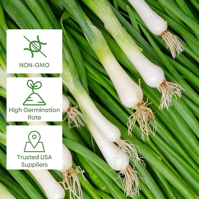 Groundio 200+ Heshiko Japanese Bunching Green Onion Seeds | Non-GMO Heirloom | High Germination | Mild Scallions for Cooking (Allium fistulosum)