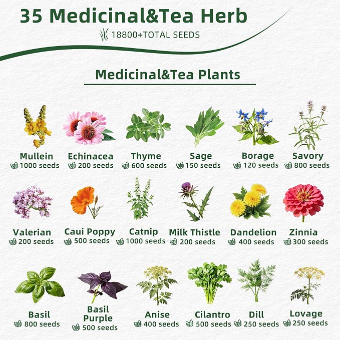 35 Medicinal & Tea Herb Seeds Variety Pack, 18,800+ Premium Garden Seed Vault Kit, Pollinator Friendly, Indoor & Outdoor Year-Round Planting, Lavender, Basil, Cilantro, Peppermint, Chamomile & More