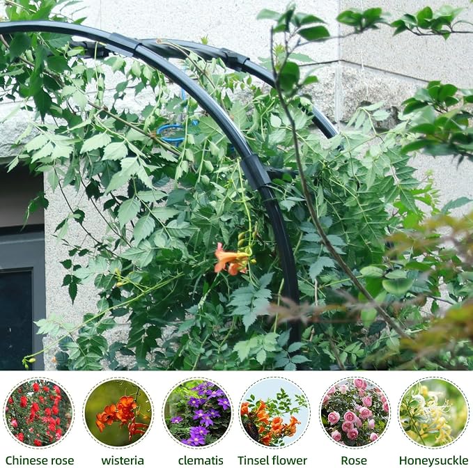 BUKLIYN Half Sided Arch Against The Wall Garden Trellis - Garden Arch Arbor Trellis for Climbing Plants Outdoor - Garden Arch for Home Yard and Garden
