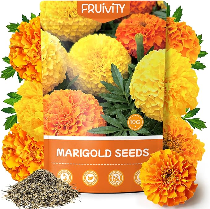 Petite Heirloom French Marigold Seeds for Planting, 400+ Flower Seeds Perennial Seed Packet,Home and Garden Easy to Grow, Indoor & Outdoor Gardening, Companion Plant & Quick Blooming