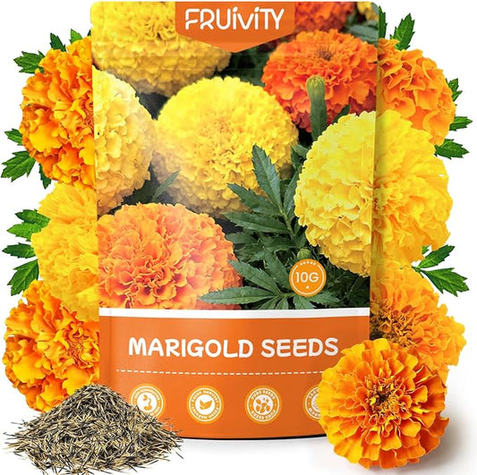 Petite Heirloom French Marigold Seeds for Planting, 400+ Flower Seeds Perennial Seed Packet,Home and Garden Easy to Grow, Indoor & Outdoor Gardening, Companion Plant & Quick Blooming