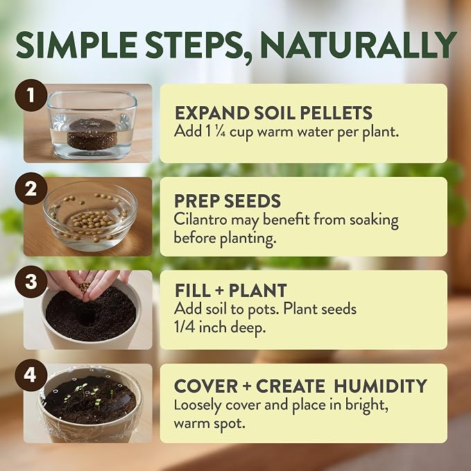 HOME GROWN Indoor Organic Herb Garden Kit, Unique Valentines Day Gift for Adults, Men, & Women,Grow 4 Herb Seeds for Kitchen Window Garden,Beginner DIY Hobby Gardening for Plant Lovers, Mom & Dad