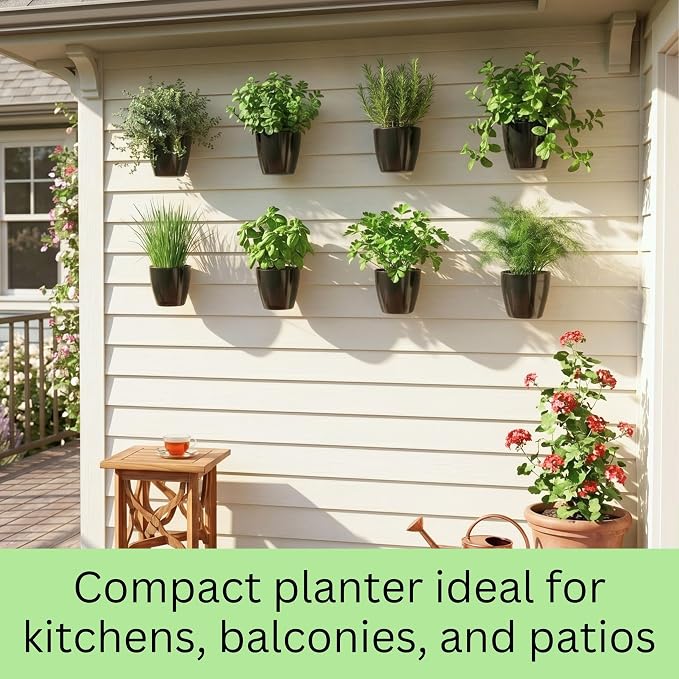 LaLaGreen Wall Planters for Indoor Plants - 10 Pack, 5 Inch Black Self Watering Wall Planter, Eco Wall Mounted Planters System Living Hanging Wall Pots Holder Trendy Live Wall Garden Indoor for Herb