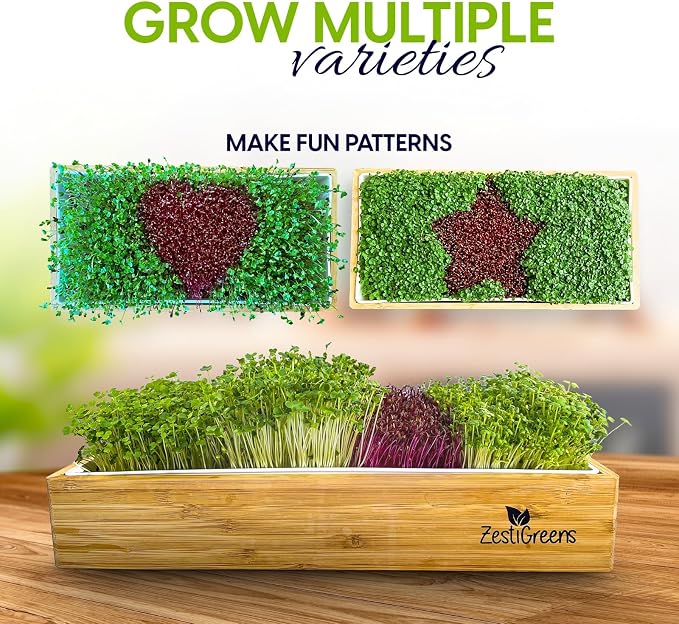 Organic Self-Watering Microgreens Growing Kit – Reusable Indoor Grow Tray with Organic Seeds, Grow Mats & Bamboo Frame – Easy No-Soil Microgreens Starter Kit (Broccoli & Salad Mix)
