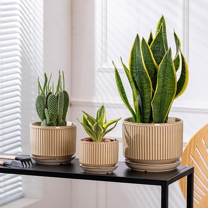 SURE YUESI Ceramic Plant Pots Set of 3, Indoor Outdoor Planters with Drainage Hole and Saucer, Ceramic Flower Pots for Indoor Plants, 4.3+5.5+6.8 Inch, Home, Garden, Patio and Office, Glossy Beige