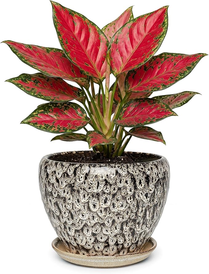 7.5 Inch Ceramic Plant Pot with Drainage Hole Mesh Net,Modern Gardening Pots for Indoor Plants with Saucer, Speckle White