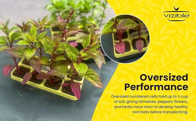 Vizible 16-Cell Seed Starting Tray Caddy | Reuseable Clear Cell Design | Perfect for Vegetables Including Tomatoes and Peppers, Flowers and Herbs (Cosmos Yellow)