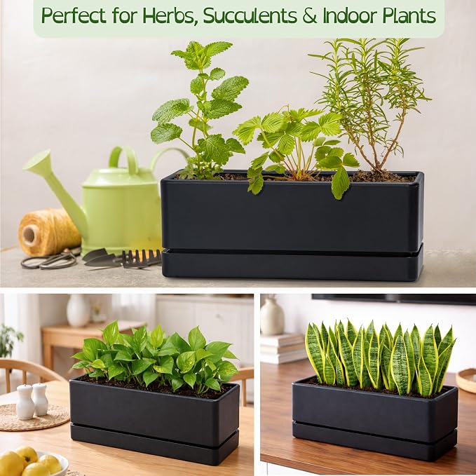 D'vine Dev 12 Inch Window Box Planter, Rectangle Plastic Herb Planter with Drainage Holes and Saucer, Indoor Succulent Cactus Vegetable Pot for Windowsill, Garden Balcony, Black, Set of 2, 76-X-B-2