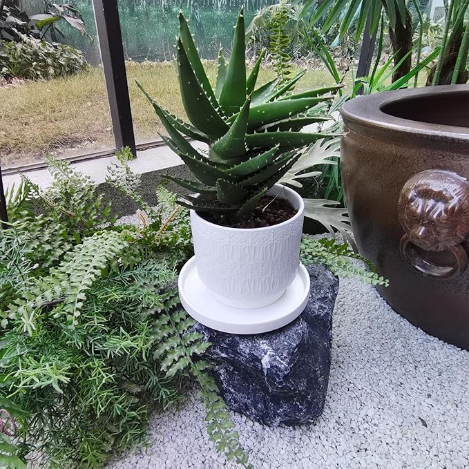 2 Pack Plant Water Catcher Tray - 7 Inch Ceramic Plant Saucer for Indoors/Outdoors, Round Flower Pot Saucer Plant Pot Saucer Plant Drip Trays for Potted Plants Drainage(Frosted White)