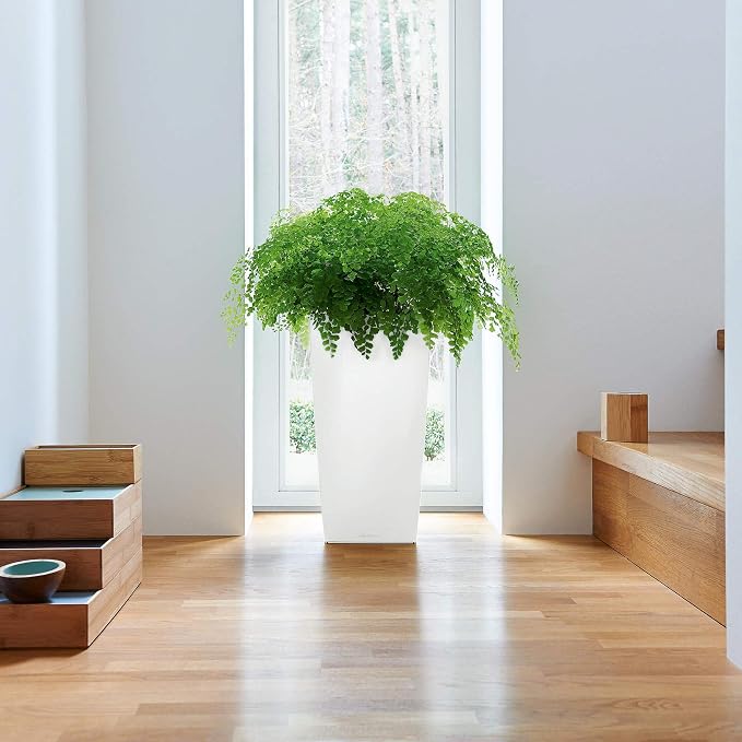 Lechuza CUBICO 22 Scarlet Red High Gloss, Self-Watering Tall Planter, H16.1 L8.7 W8.7 in
