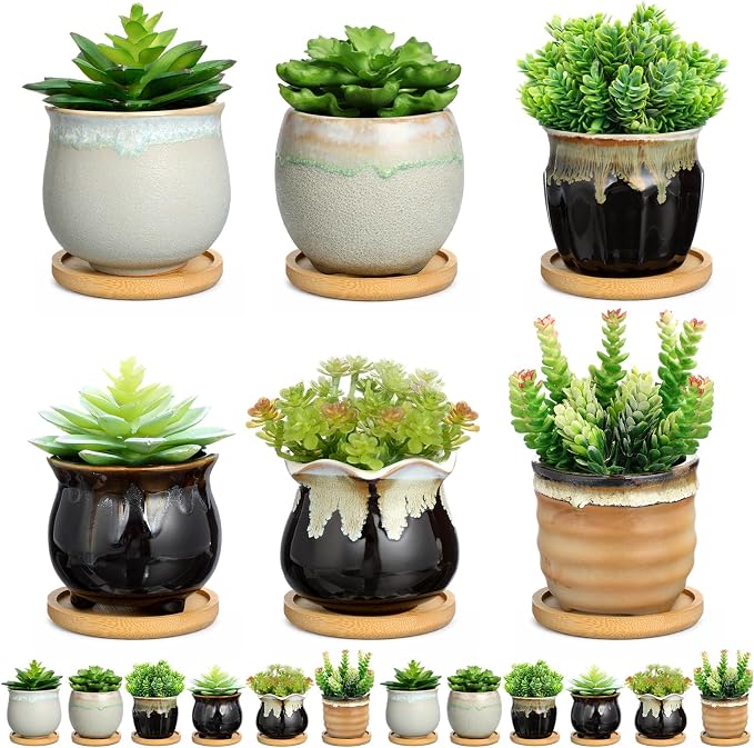 Remerry 6 Pcs Small Succulent Pots Bulk with Drainage Assorted 3.5 Inch Mini Ceramic Succulent Planters Pot with Coaster Bamboo Plant Tray Planting Pots for Home Office Garden