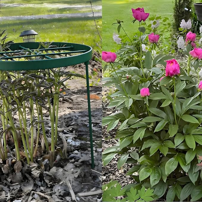 Peony Cage Outdoor Support - Durable Metal Garden Brace for Tall Plants, 18.9" Top, 23.6" Long Round Flower Rings, Easy Assembly, Perfect for Dahlias & Climbing Plants - Ideal Gardening Gift