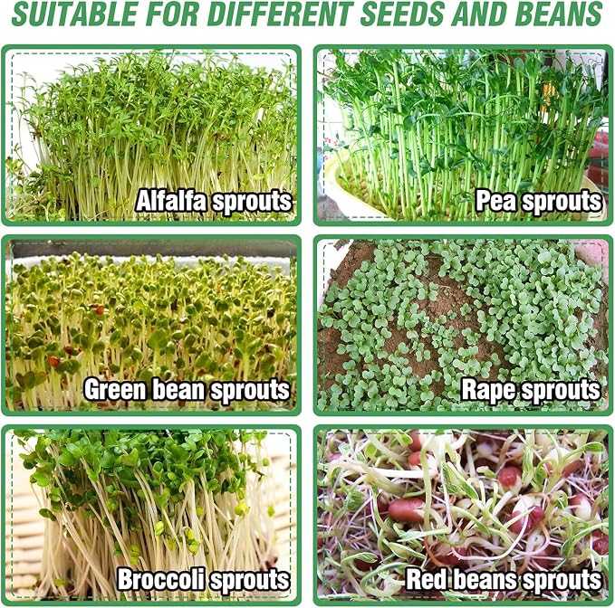 Stainless Steel Seed Sprouting Kit - 4-tier Microgreens Growing Tray 6in Dia, Stackable Round Seed Sprouter Maker with Encrypted Mesh, Sprouts Grower for Beans Broccoli Alfalfa Seeds Wheat Grass
