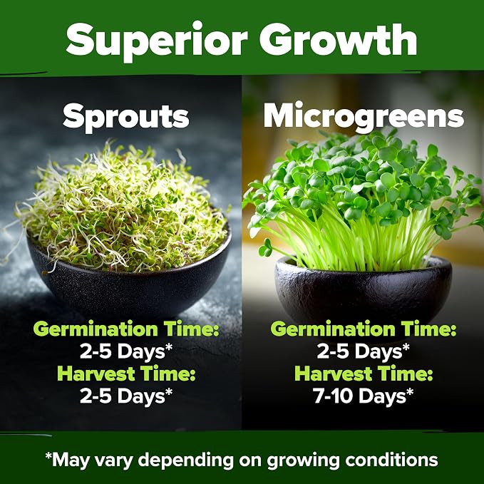 HOME GROWN Premium Sprouting Seeds Mix - Microgreens 118,200 Seeds for Indoor Growing - Non-GMO Broccoli, Alfalfa, Radish, Clover Sprouts Seed - 16oz Resealable Pack for Healthy Salad & Juicing