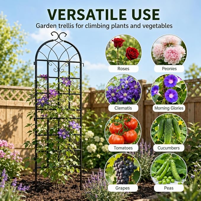 2 Pack 71x20in Garden Trellises, Butterfly Black Metal Coated Rustproof Trellis for Climbing Plants Outdoor, Roses, Vegetables, Vines, Cucumbers