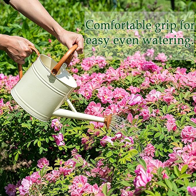 Metal Watering Can for Plants,Watering Cans for Outdoor&Indoor Gardening, Galvanized Steel Water Can with Removable Spout,Watering Pot with Ergonomic Movable Handle (Cream White)