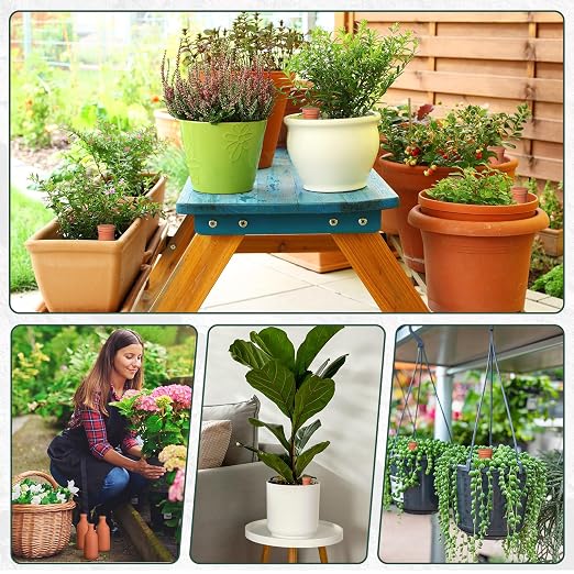 DoubleFill 6 Pcs 18oz Ollas Terracotta Watering Pots Self Watering Planter Insert Terracotta Globes Clay for Outdoor Indoor Garden Plants, Easy to Refill