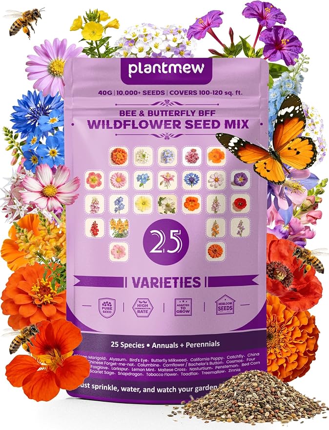 Bee & Butterfly BFF Wildflower Seed Mix – 25 Heirloom Varieties Annual + Perennial, 10,000+ Seeds (40g) Covers 100-120 sq.ft. – High Germination for Outdoor Pollinator Garden