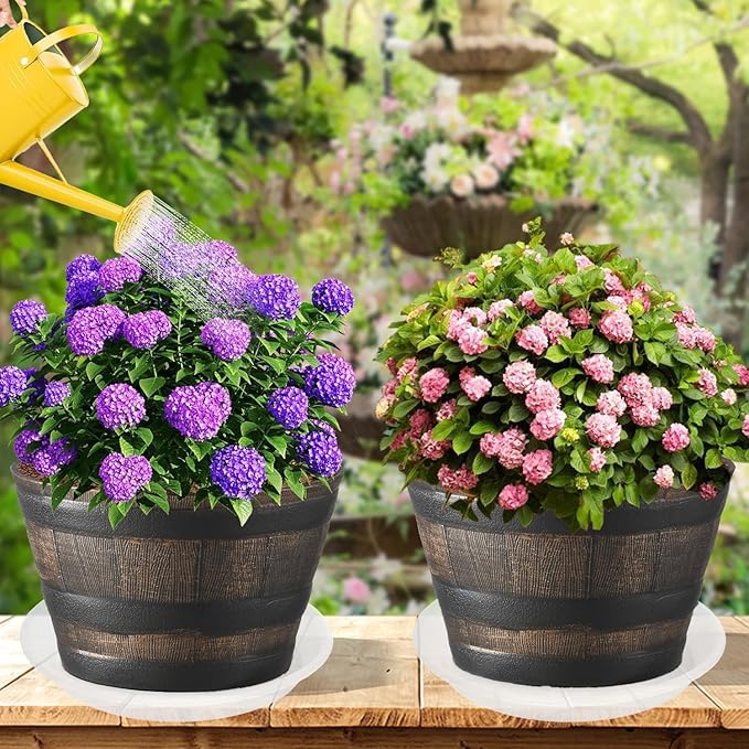 2 Pack of Clear Plant Saucer 12 inch, Clear Plastic Plant Drip Trays, Heavy Duty Plant Trays for Indoors no Holes, Plant Water Tray for Planters