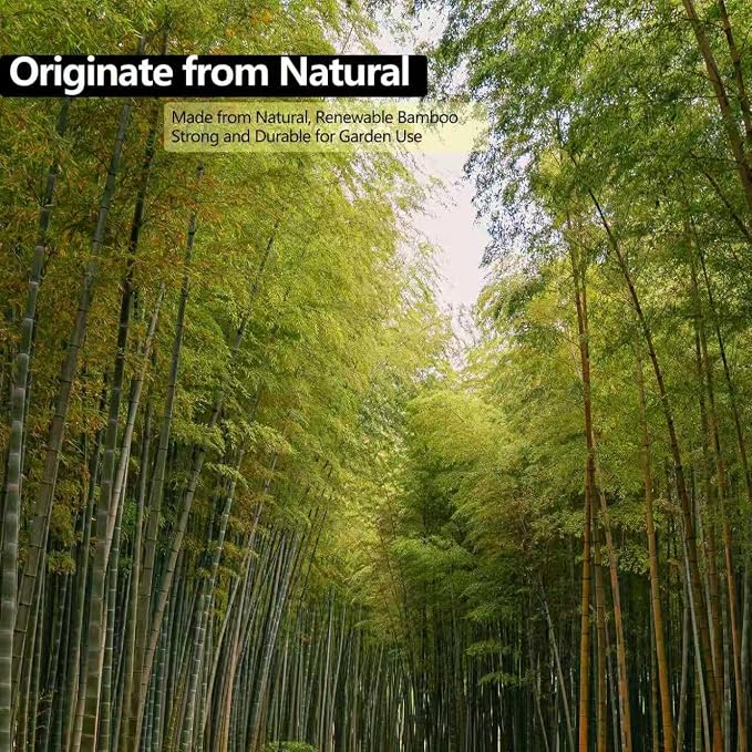 60 PCS 3FT Bamboo Plant Stakes, 8mm Thick – 36 Inch Bamboo Sticks for Indoor & Outdoor Plants – Garden Plant Support Stakes for Tomato, Beans, Climbing Plants & More