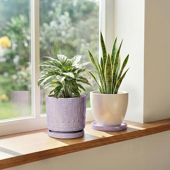 Eightpot Ceramic Plant Saucer 5.6 Inch, 2 Pack Plant Water Catcher Tray, Round Flower Pot Saucers for Indoor, Modern Plants Plates to Catch Water, Decorative Plants Dishes to Catch Water, Purple