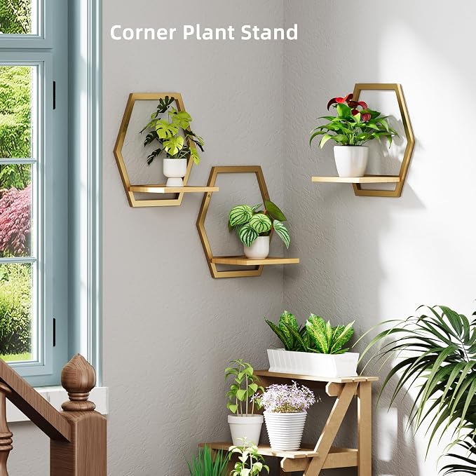 3 Pack Solid Wood & Metal Framework Wall Plant Stands,9 inch Natural Wood Shelf of Indoor,Mid Century Modern Hanging Planter for Outdoor Entryway 25 LB Load for Plants Golden