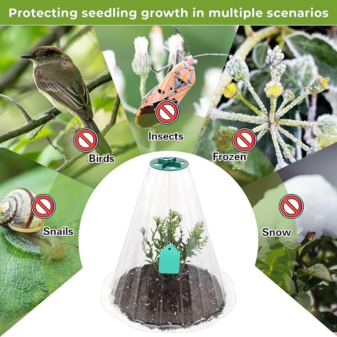 Cloches for Plants, Transparent Plant Covers, Garden Cloches with Humidity Domes, Securing Pegs and Plant Labels, Reusable Plant Protectors from Animals Plant Bell Cover (Transparent-30pcs-M)